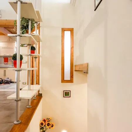Sun Flowers House *
